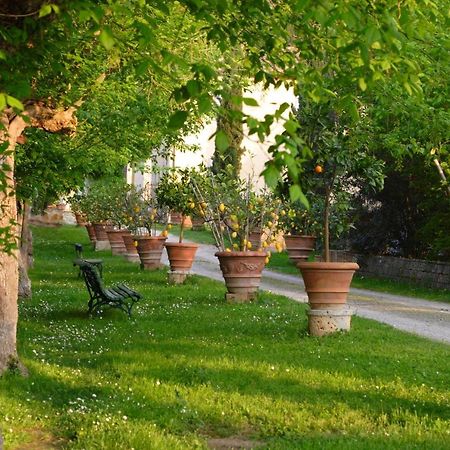 Ginestra Apartamento Poggibonsi Exterior foto