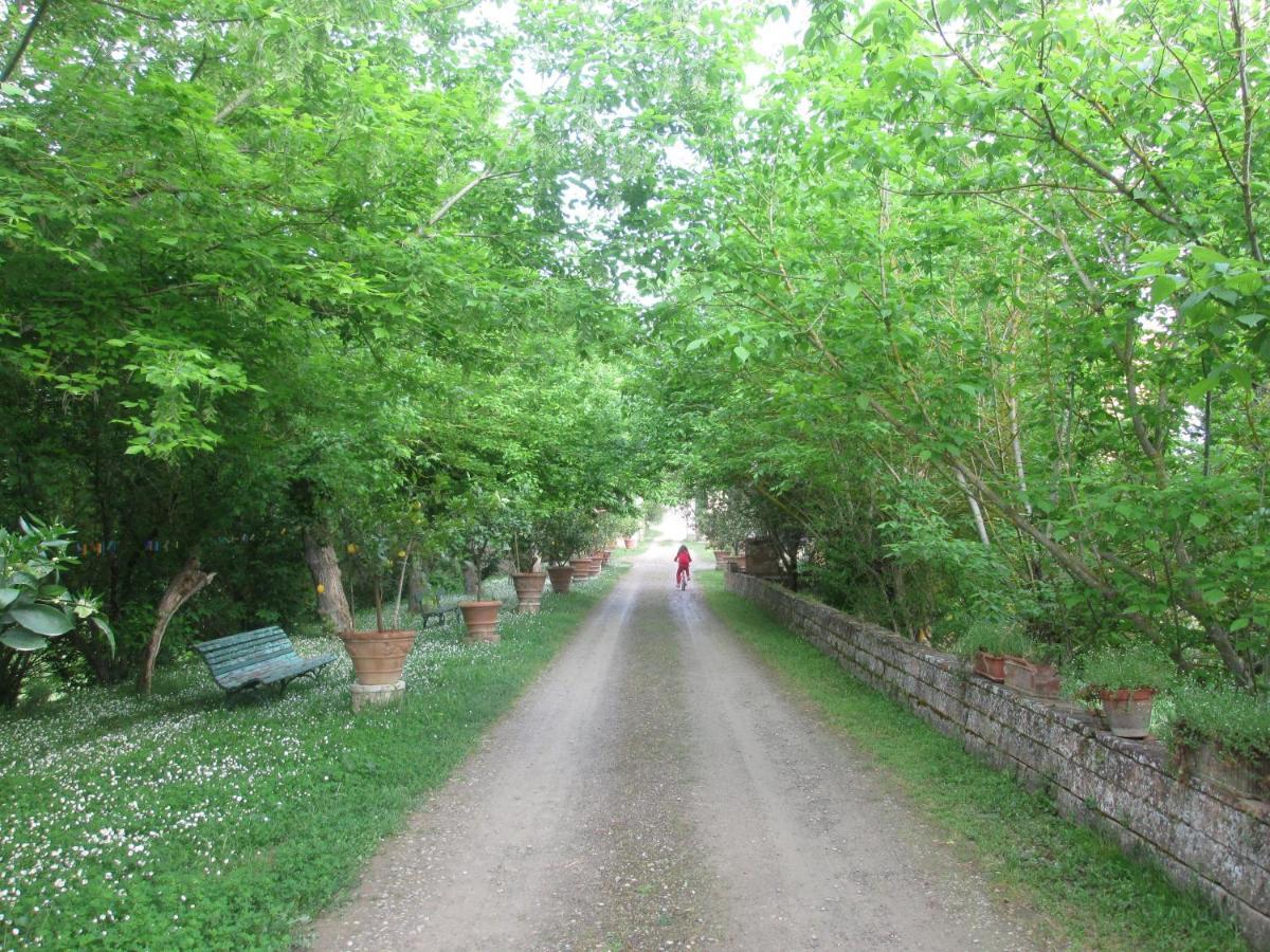 Ginestra Apartamento Poggibonsi Exterior foto