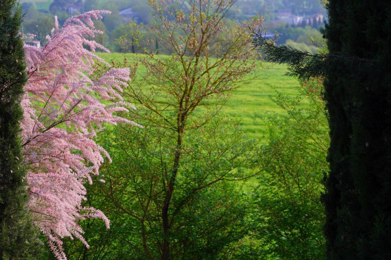 Ginestra Apartamento Poggibonsi Exterior foto