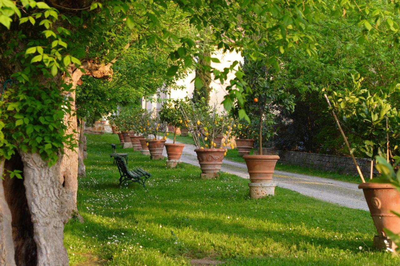 Ginestra Apartamento Poggibonsi Exterior foto