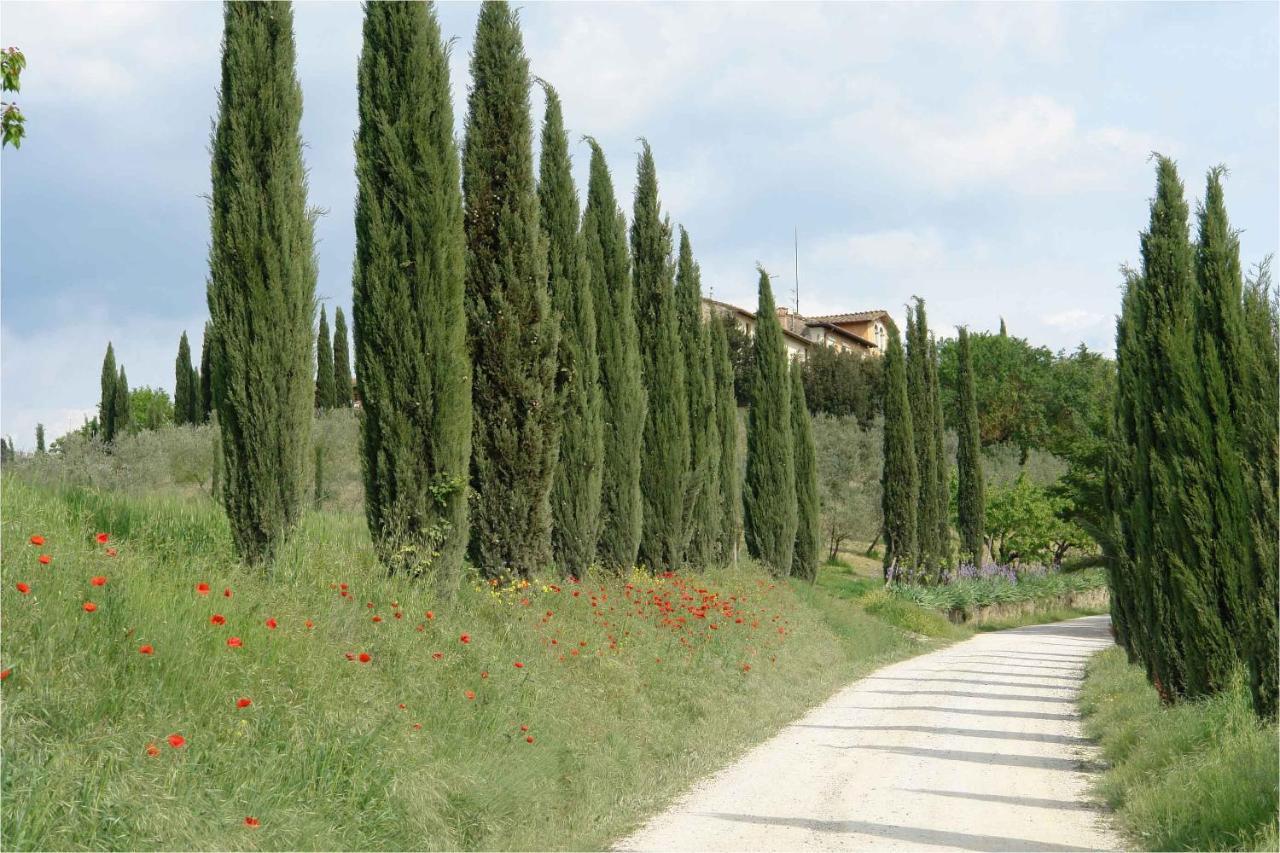 Ginestra Apartamento Poggibonsi Exterior foto