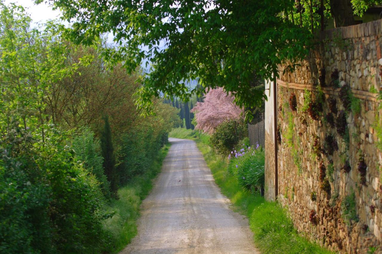 Ginestra Apartamento Poggibonsi Exterior foto