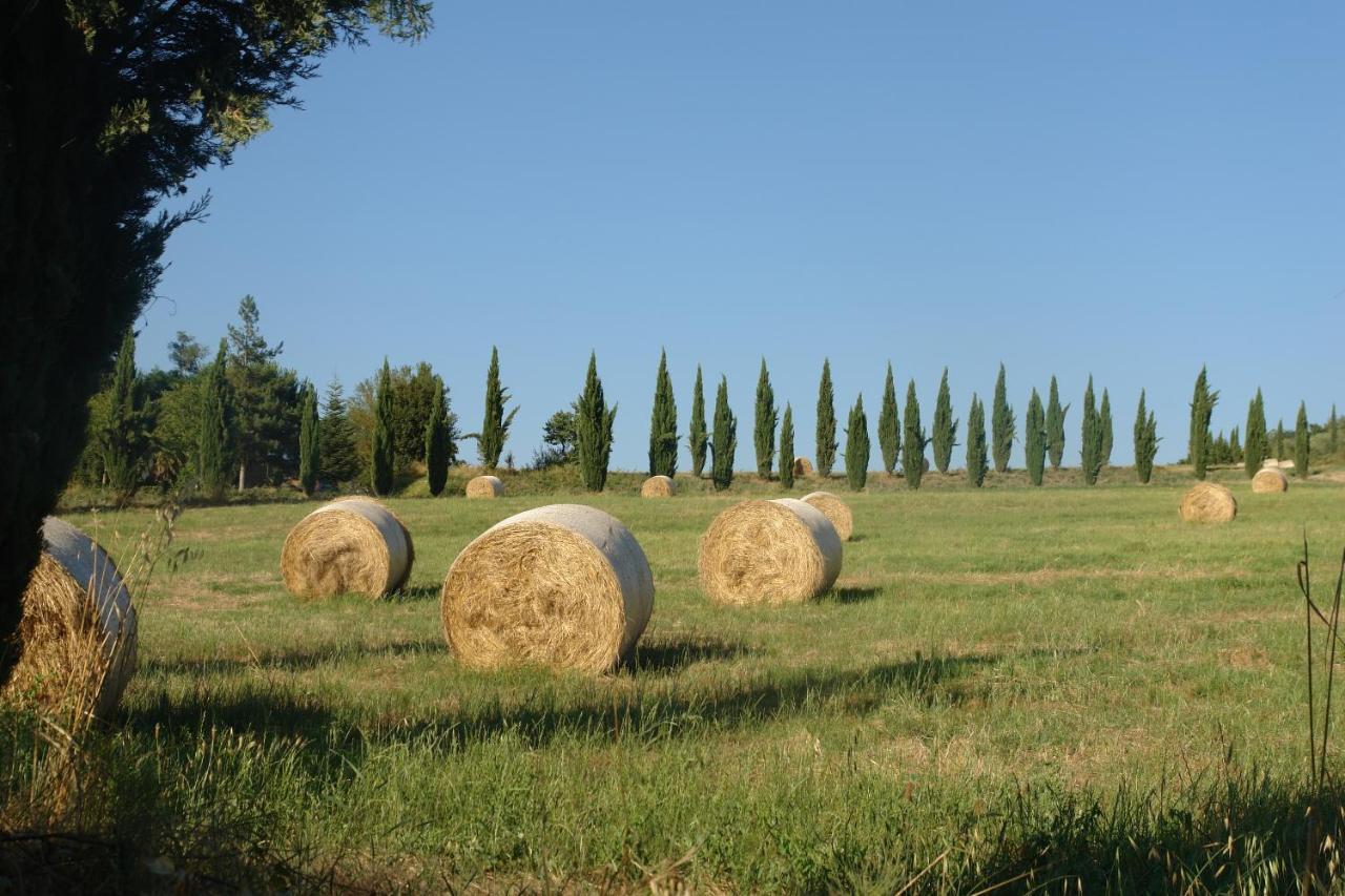 Ginestra Apartamento Poggibonsi Exterior foto